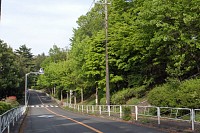 神社の通り、左は大塚東公園