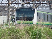 横浜線　E233。雑草邪魔