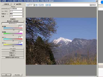 Digital Photographer