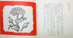 坂本直行「わたしの草と木の絵本」: Fool Proof