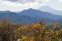 茅ヶ岳と初冠雪の富士