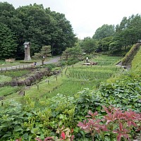 中沢池公園
