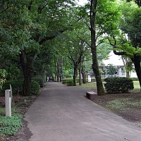 武蔵野の道。外人も歩く