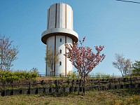 唐木田給水塔の八重桜
