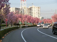 28日は車で通過、今日は自転車。稲城市若葉台公園付近の陽光