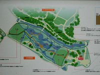 神代植物公園水生植物園