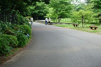 尾根緑道の西の端は、都立小山内裏公園。自転車速度抑制の段差舗装がチラホラと
