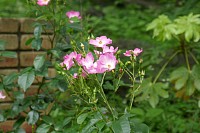 70