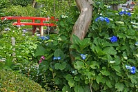 09