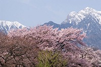 甲斐駒とアサヨ峰
