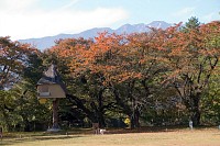 小林秀雄の鎌倉の家からの桜はこの中か。