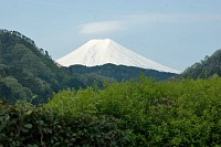 初狩PAからの富士山