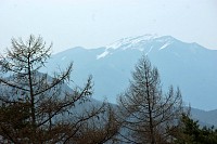 八ヶ岳自然ふれあいセンターから金峰山