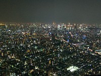 遠景に東京タワー