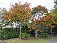 日本庭園の出口