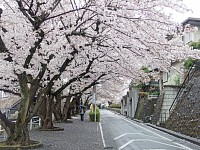 車の点検中に散歩。桜ヶ丘の住宅街の坂