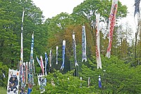 02