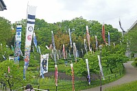 07