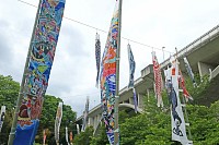 08