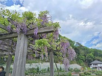02
