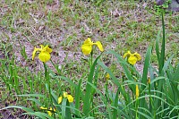 85