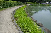 101