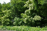 09