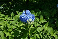 44