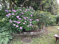 IMG_1141
