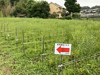 IMG_1143
