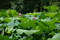 04