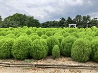 IMG_8764