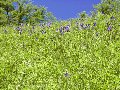 06090030